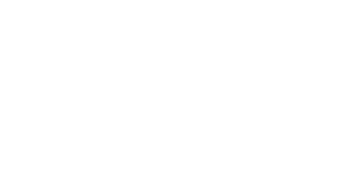 AGS IT-partner